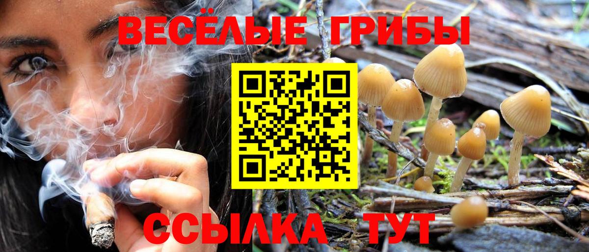 Псилоцибиновые грибы мицелий Назрань