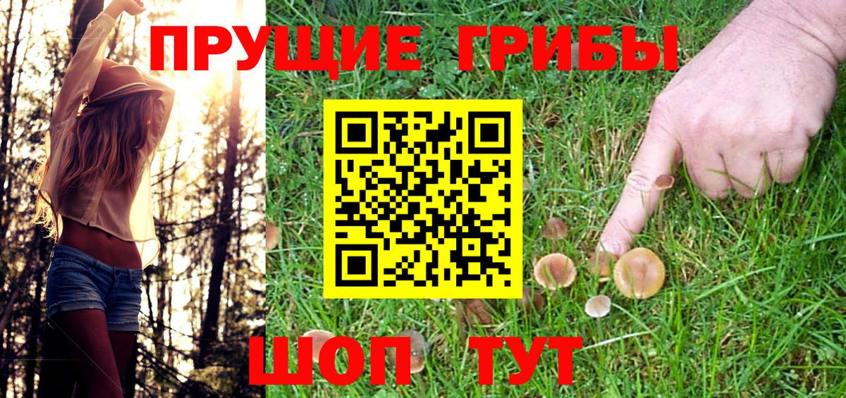 Назрань  Псилоцибиновые грибы прущие грибы  Вход с VPN 